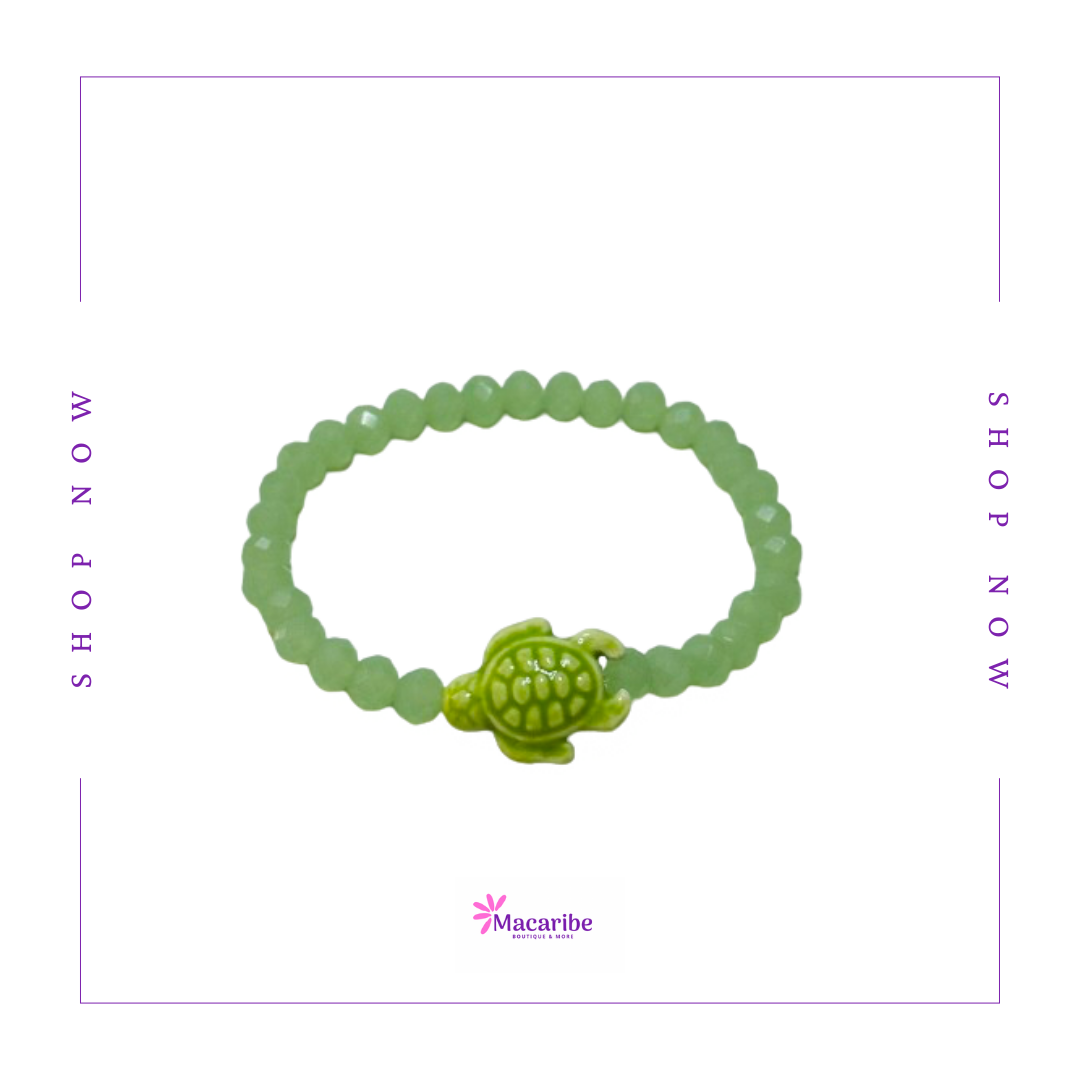 Green Sea Turtle Set